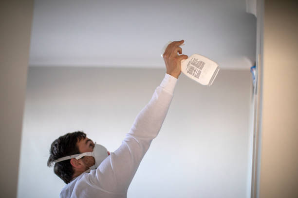 Best Mold Testing  in Imlay City, MI