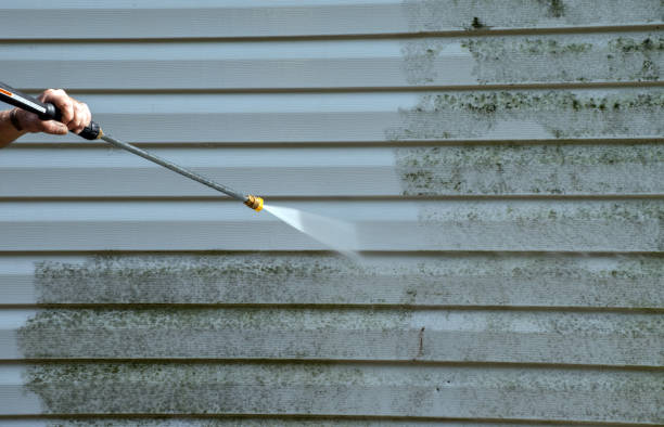 Certified Mold Removal in Imlay City, MI